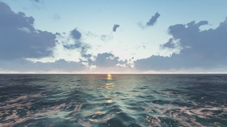 Pacific ocean background in 3D with birds in a sunset.