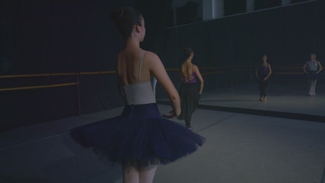 Pair of ballerinas practicing ballet steps