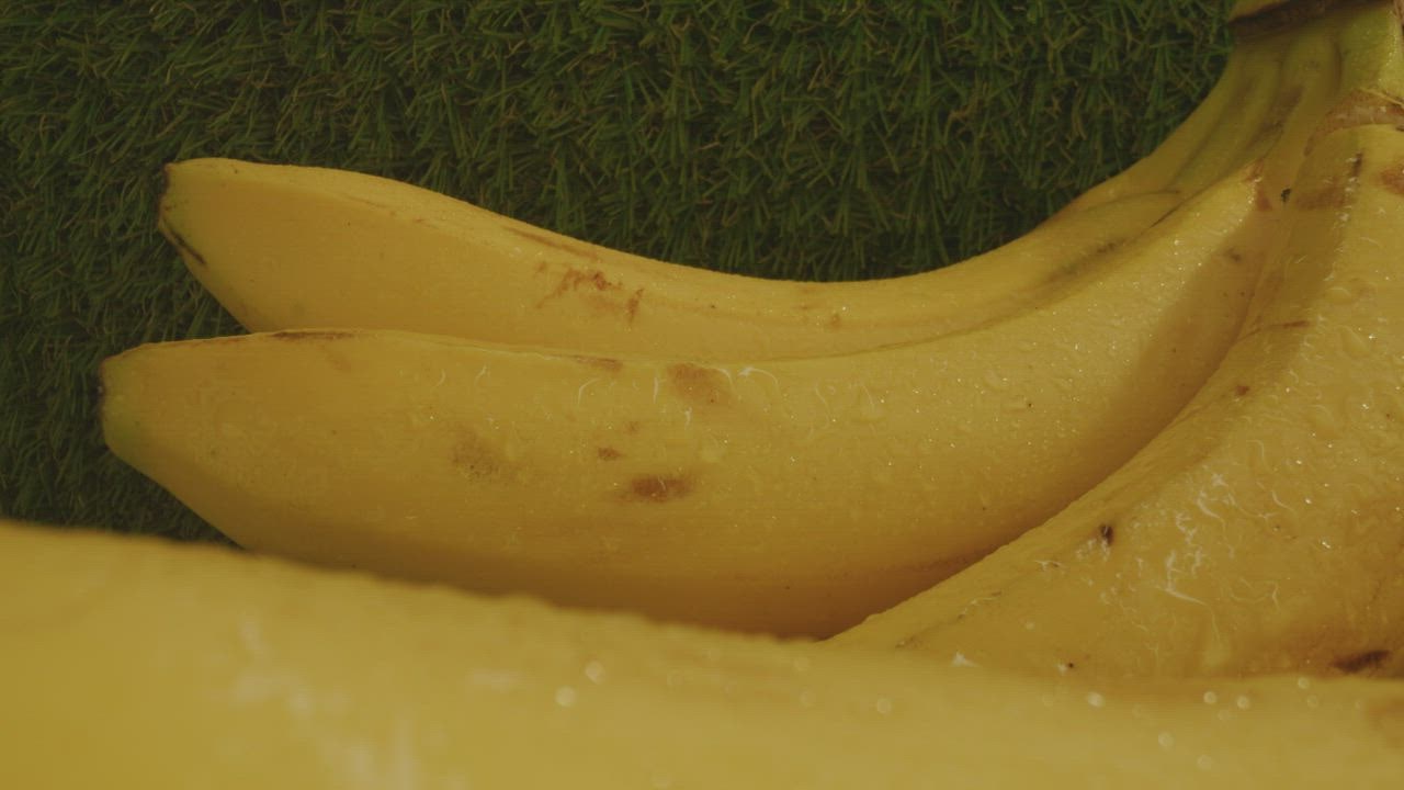 Pair ikan slot  of plantain stalks in a close up shot