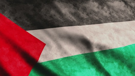Palestine flag.
