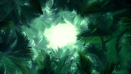 Palm tunnel, 3D animation.