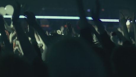 People dancing in a concert at a nightclub.