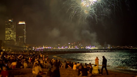 People seeing fireworks in the beach.