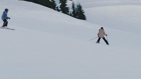 人们在雪地上滑雪