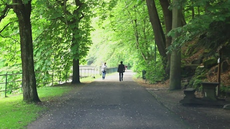 People walking in a green park