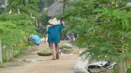 People working in agriculture fields in Vietnam.