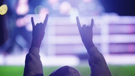 Person cheering in the crowd of a rock concert.