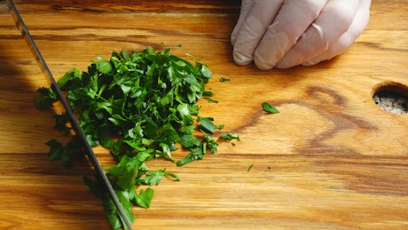 Person in gloves cutting parsley.