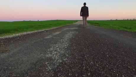 Person walking down a path between large fields.