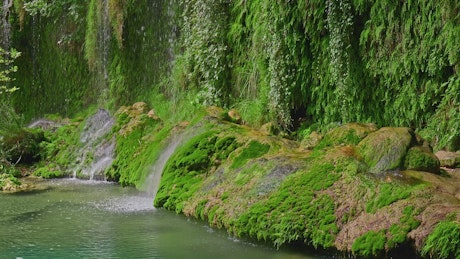 Picturesque waterfall surrounded by green moss.