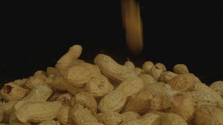 Pile of peanuts on a black background.