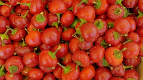 Pile of tomatoes at a market.