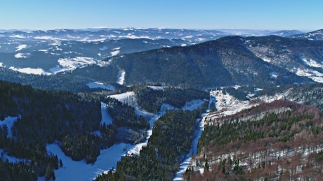 Pine forests in snowy mountains, aerial landscape