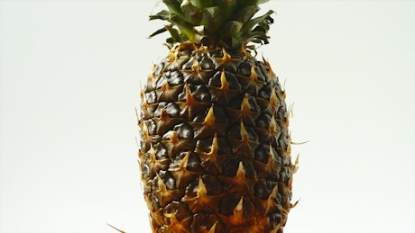 Pineapple spinning on a white background