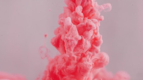 Pink ink cloud entering water.