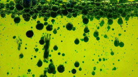 Pond with green oil bubbles