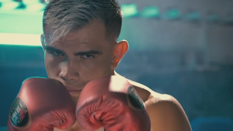 Portrait of a boxer training