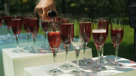 Pouring sparkling wine into glasses.