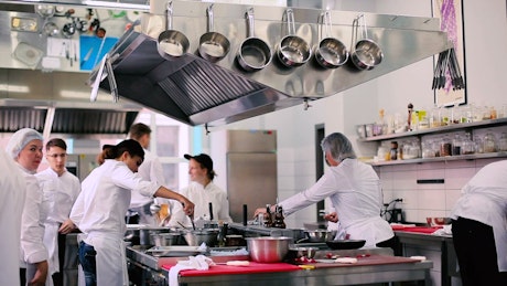 Professional chefs work in restaurant kitchen.