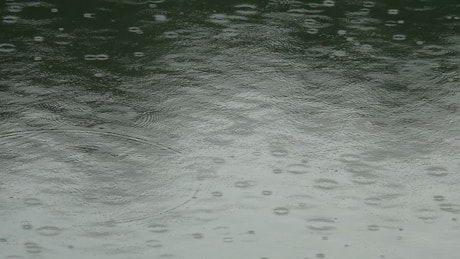 Raindrops on water surface.