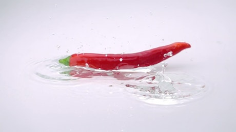 Red chili pepper falling into water