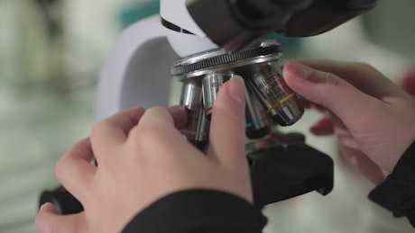 Reviewing a test sample with a microscope