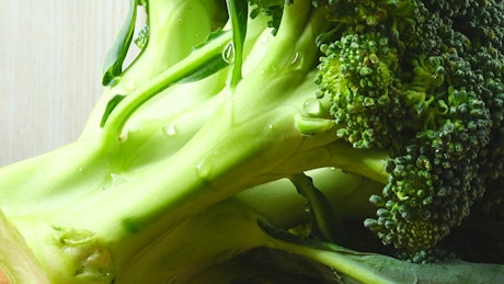 Ripe broccoli texture.