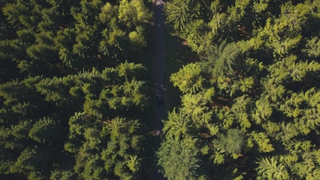 Road in the middle of a forest, top aerial shot.