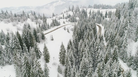 Road in the snow-covered alps.