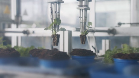 Robot planting small plant shoots.