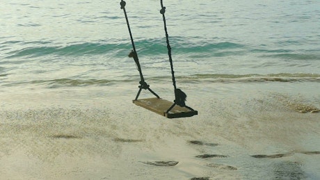 Rope swings on a sandy the beach.