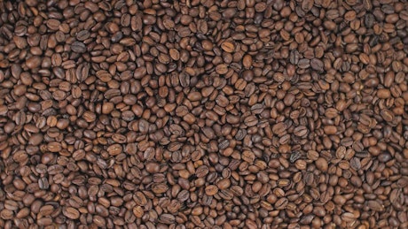 Rotating coffee beans texture.