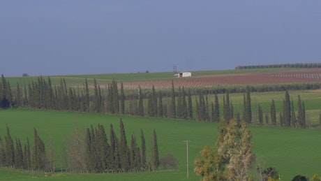 Rural landscape and agricultural fields.