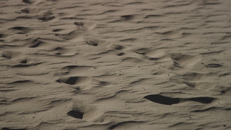 Sand close up on the beach.