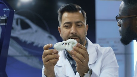 Scientists discussing about dinosaur 3-D printed skull