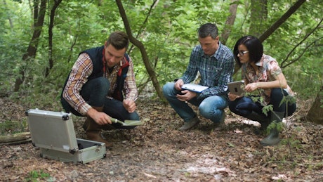 Scientists picking up ground samples.