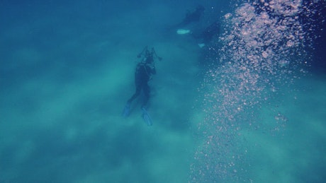 Scuba divers swimming and exploring a sunken vessel.