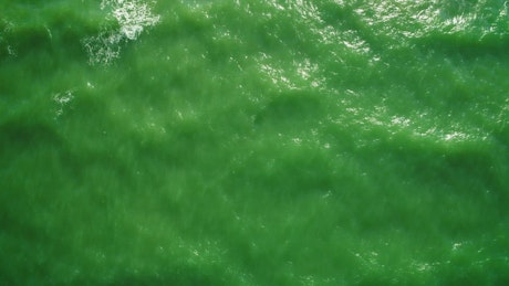 Sea waves in green tones reaching the beach.