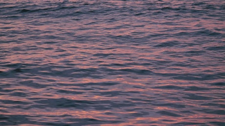 Sea waves reflecting the sunset