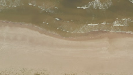 Seashore on the beach with sandy tones