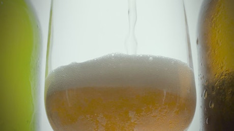 Serving foamy beer in a glass