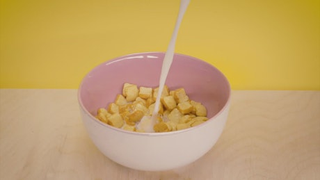 https://mixkit.imgix.net/videos/preview/mixkit-serving-milk-in-a-bread-shaped-cereal-bowl-41139-0.jpg?q=80&auto=format%2Ccompress&w=460