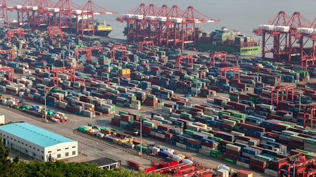 Shanghai containerport and cranes working.
