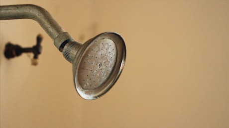 Shower head in the bathroom.