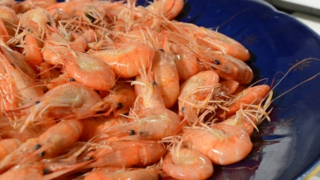 Shrimp ready for cooking