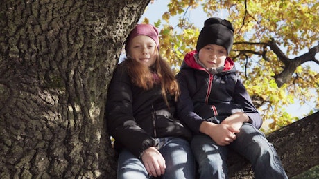 Siblings sitting on a branch.