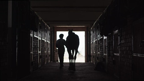 Silhouette of a person and their horse walking through a dark stable.