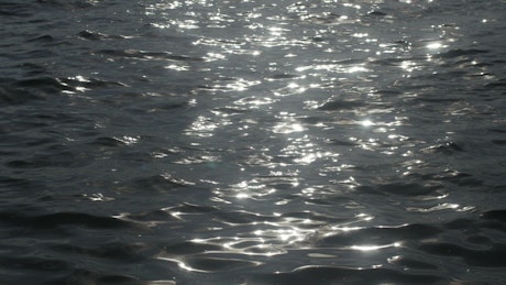 Silver ripples on the coast