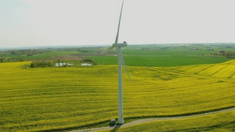 Single wind turbine