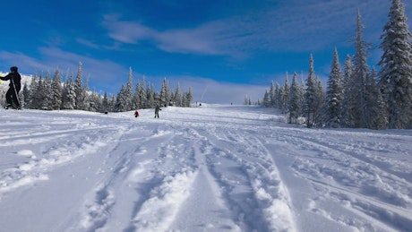 Skiers riding down a freshly snowed mountain.